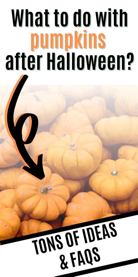 are pumpkins cheap after halloween